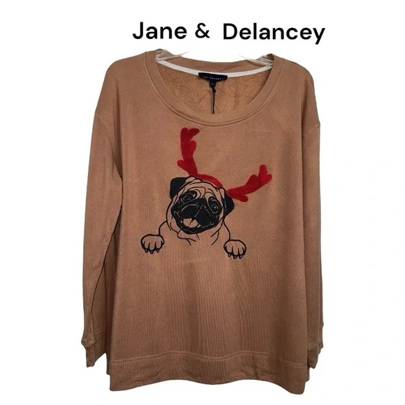 Jane & Delancey (NWT) Over Sized drop shoulder Sweatshirt, Size Large - Picture 2 of 9